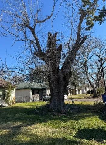 913 Southampton Street Angleton TX 77515