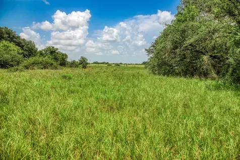 1865 County Road 114 Garwood TX 77442