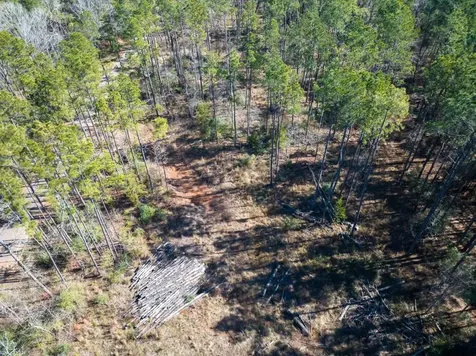 1 O'quinn Road Pollok TX 75969