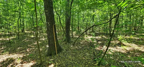108.6 Acres East Side County Road 3230 Clarksville TX 75426