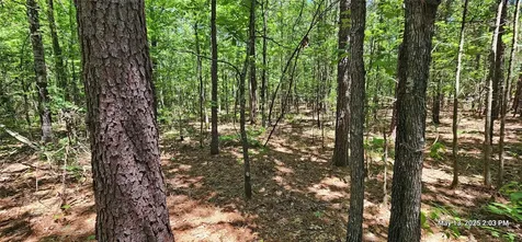 108.6 Acres East Side County Road 3230 Clarksville TX 75426