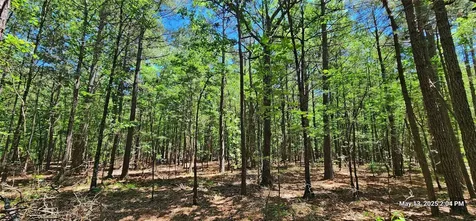 108.6 Acres East Side County Road 3230 Clarksville TX 75426