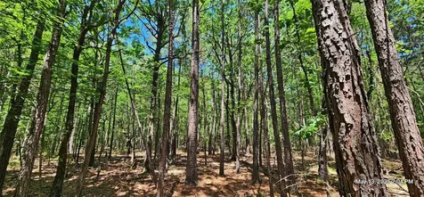 108.6 Acres East Side County Road 3230 Clarksville TX 75426