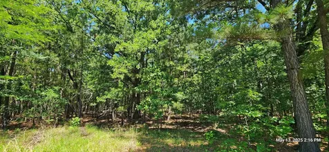 108.6 Acres East Side County Road 3230 Clarksville TX 75426