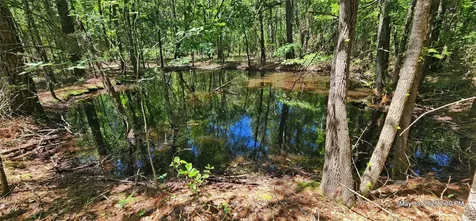 108.6 Acres East Side County Road 3230 Clarksville TX 75426