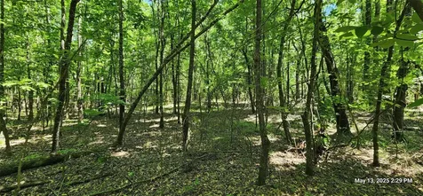 108.6 Acres East Side County Road 3230 Clarksville TX 75426
