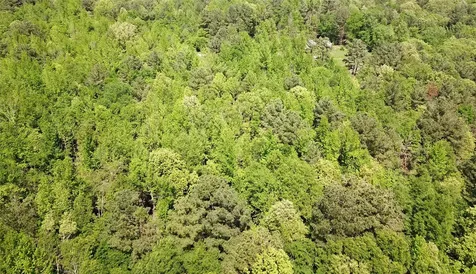 108.6 Acres East Side County Road 3230 Clarksville TX 75426