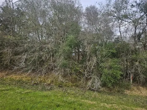 29929 Fm 1301 Road West Columbia TX 77486