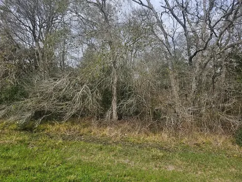 29929 Fm 1301 Road West Columbia TX 77486