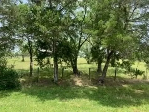 29929 Fm 1301 Road West Columbia TX 77486