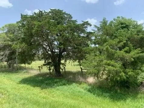 29929 Fm 1301 Road West Columbia TX 77486