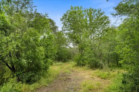 288 Charcoal Road Waelder TX 78959