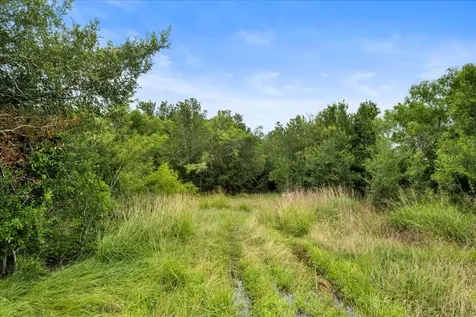 288 Charcoal Road Waelder TX 78959