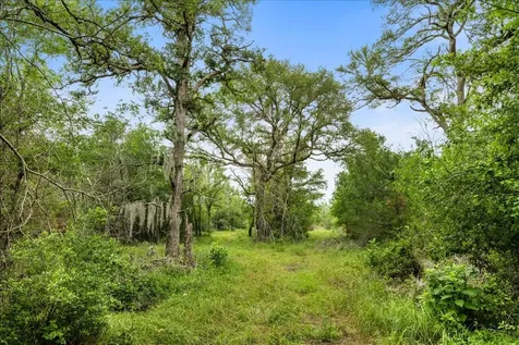 288 Charcoal Road Waelder TX 78959