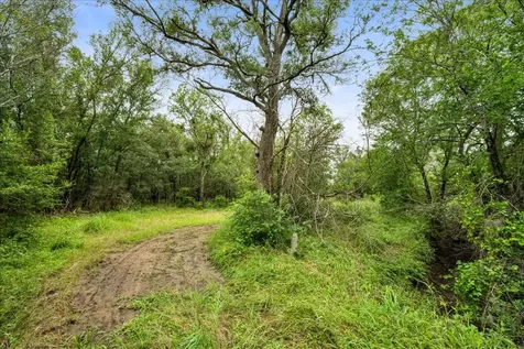 288 Charcoal Road Waelder TX 78959
