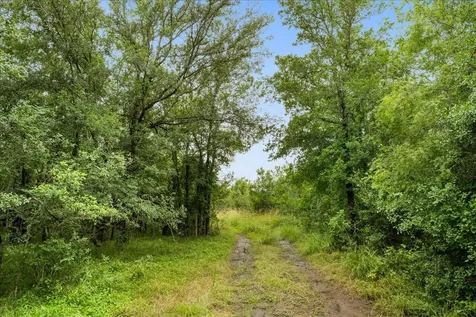 288 Charcoal Road Waelder TX 78959