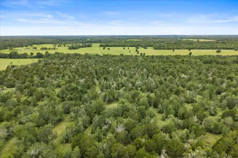 288 Charcoal Road Waelder TX 78959