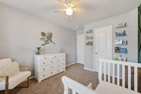 11 Coconut Palms Court Manvel TX 77578