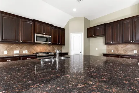 28011 Canyon Wren Drive Katy TX 77494