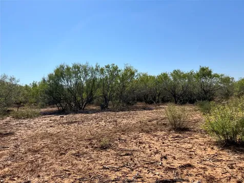 100 Cr 321 Tract 13 Jourdanton TX 78026
