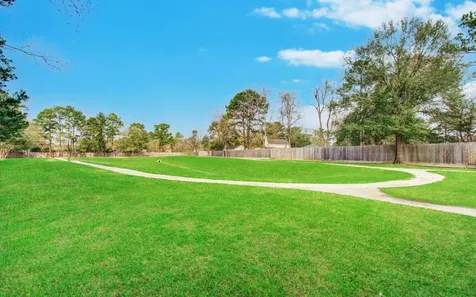9118 Colony Cove Drive Spring TX 77379