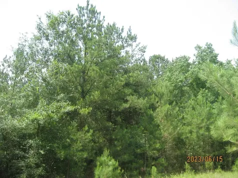 30079 Round Up Drive Waller TX 77484