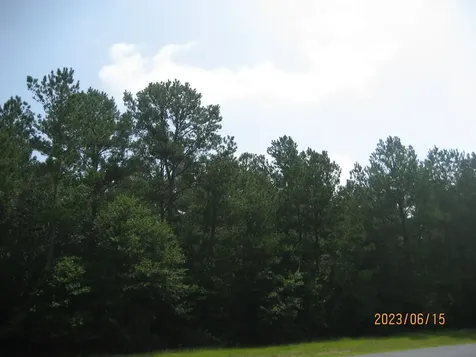 30079 Round Up Drive Waller TX 77484