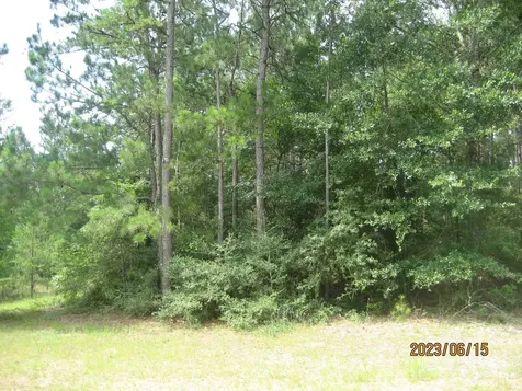 30079 Round Up Drive Waller TX 77484