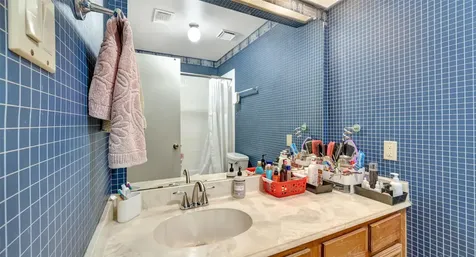 16158 Seahorse Drive Houston TX 77062