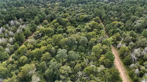 29028 Sandpiper Lane Prairie View TX 77445