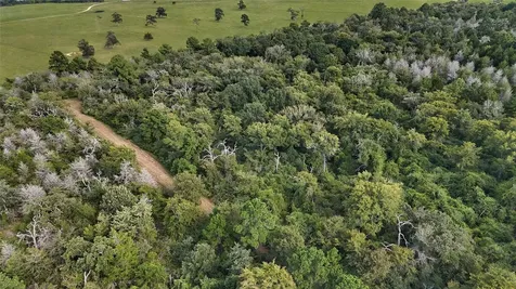 29028 Sandpiper Lane Prairie View TX 77445