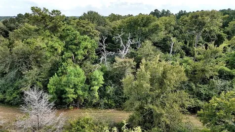 29028 Sandpiper Lane Prairie View TX 77445