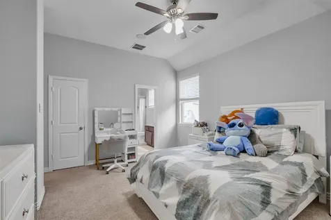 3919 Cantone Grotto Court Katy TX 77493