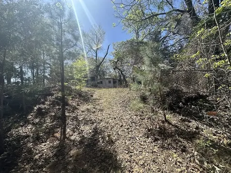 1115 Hickory Drive Harleton TX 75651