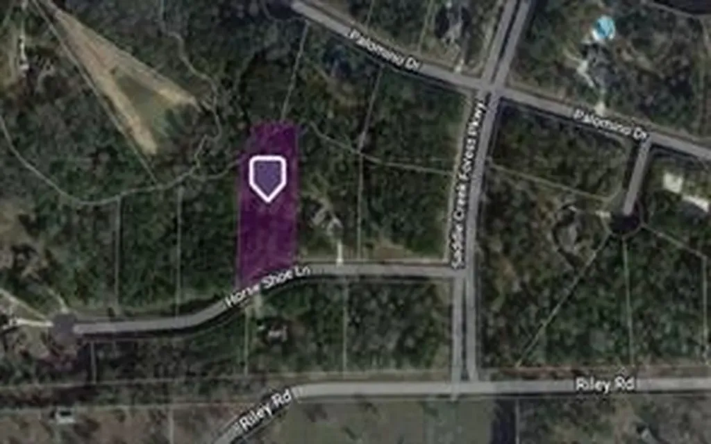 28200 Horse Shoe Lane Waller TX 77484