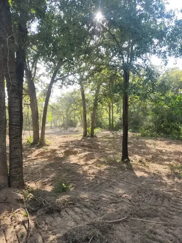13319 Tyler Lane Franklin TX 77856