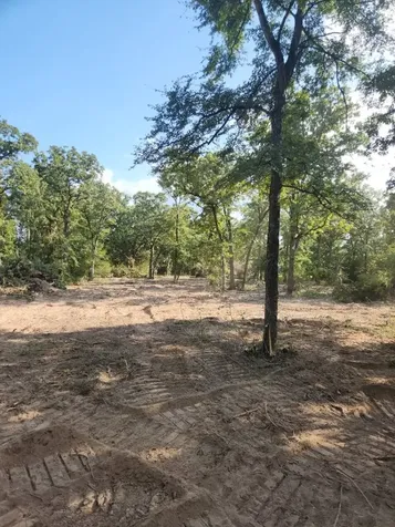 13319 Tyler Lane Franklin TX 77856