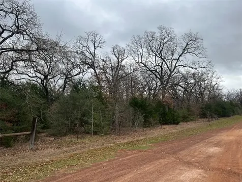 13319 Tyler Lane Franklin TX 77856