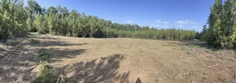 10343 Private Road 8012 Bronson TX 75930