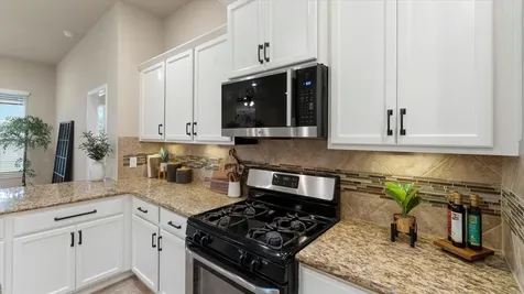 3722 Daintree Park Court Katy TX 77494
