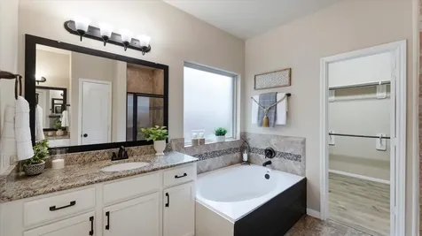 3722 Daintree Park Court Katy TX 77494