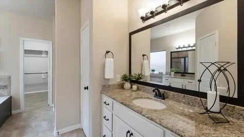 3722 Daintree Park Court Katy TX 77494