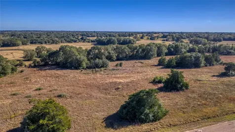 TBD-3 Greenvine Road Brenham TX 77833