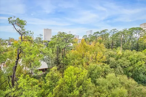 49 Briar Hollow Lane 505 Houston TX 77027