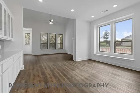3007 Solace Springs Lane Webster TX 77598