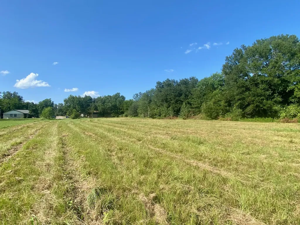 Lot #133 Jb Mcduff Drive Crockett TX 75835