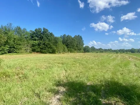 Lot #133 Jb Mcduff Drive Crockett TX 75835