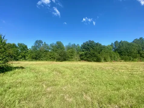 Lot #133 Jb Mcduff Drive Crockett TX 75835