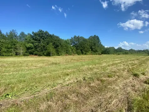 Lot #133 Jb Mcduff Drive Crockett TX 75835