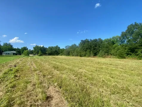 Lot #133 Jb Mcduff Drive Crockett TX 75835